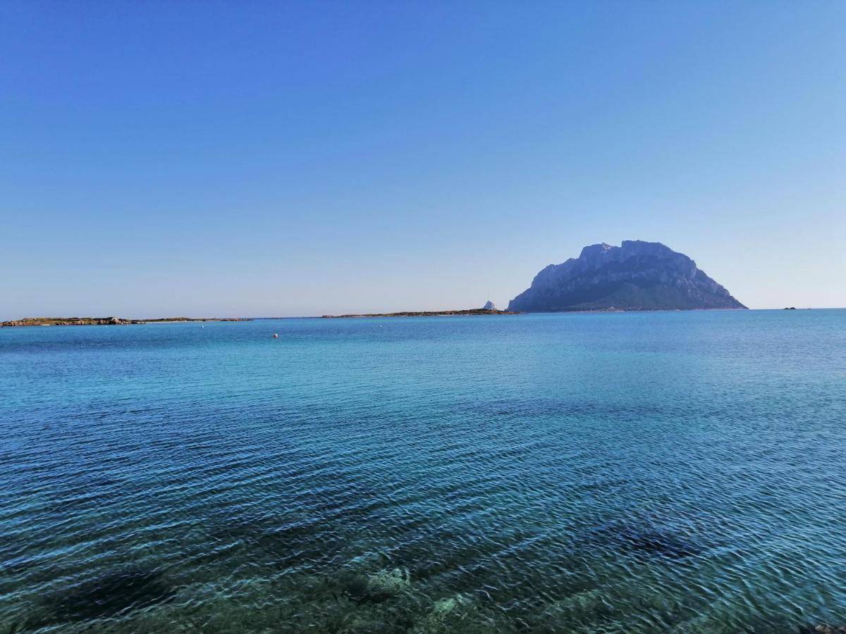 Aria Di Vacanza - Molara Loiri Porto San Paolo Exterior foto